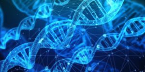 Genomes Project data may help decide dose of medications