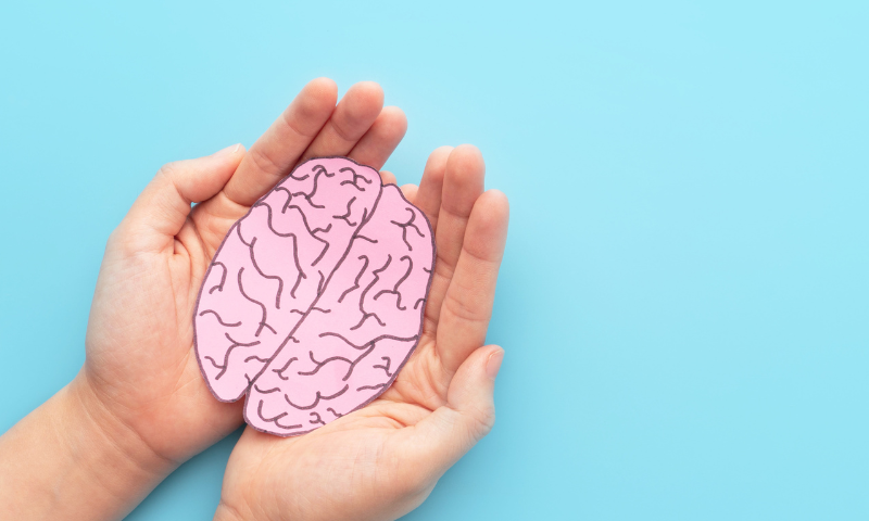 Person holding illustration of brain in their hands